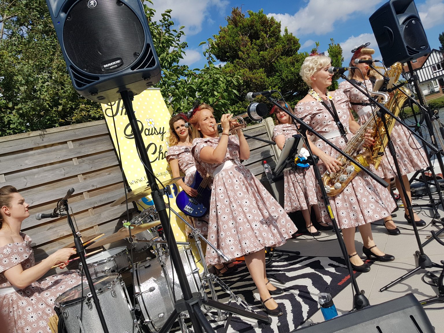 Lineups The Daisy Chains